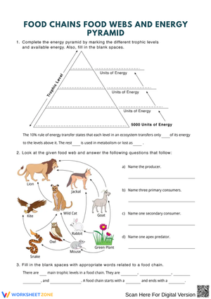 Food Chains and Energy Pyramid Worksheet