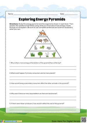 Energy Pyramid-Trophic Levels and Energy Flow