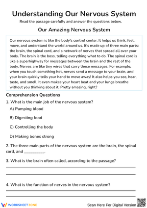 Understanding Our Nervous System Reading Comprehension