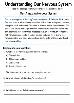 Essential Nervous System Worksheet | Grade 4-5 Science