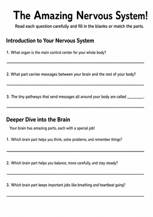 Essential Nervous System Worksheet | Grade 4-5 Science