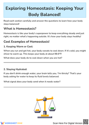 Exploring Homeostasis Worksheet