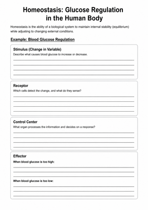 Homeostasis Glucose Regulation Worksheet | Essential Grade 8