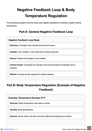 Negative Feedback & Body Temperature Regulation Worksheet