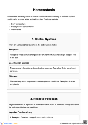 Homeostasis Worksheet