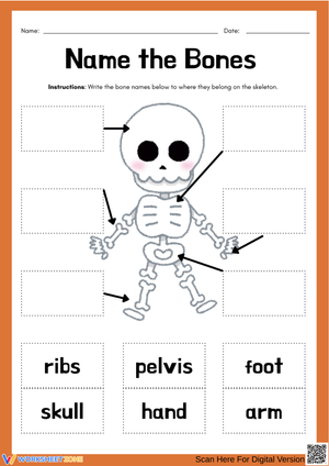 Name the Bones Labeling Worksheet