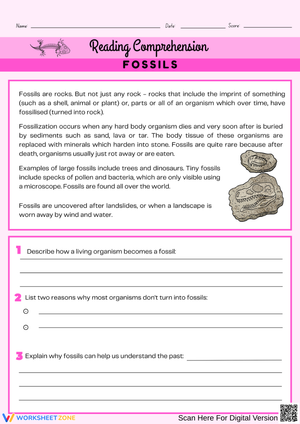 Fossils Reading Comprehension Worksheet