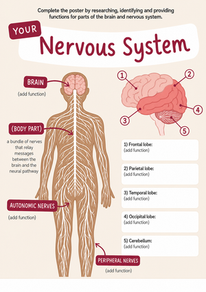Essential Nervous System Functions Worksheet | Grade 6