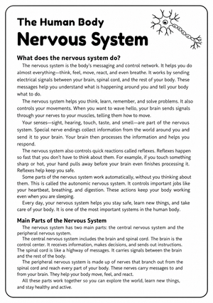 Printable Nervous System Worksheet | Grade 5-6 Science
