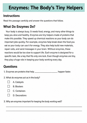 Enzymes Reading Worksheet | Essential Grade 5-8 Science