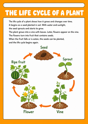 Essential Plant Life Cycle Poster | Grade 3-5 Science
