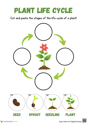 Plant Life Cycle Cut and Paste Circle Worksheet