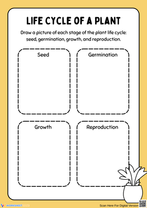Life Cycle of a Plant – Draw the Stages Worksheet