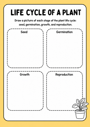 Grade 3 Plant Life Cycle — Printable No-Prep Worksheet