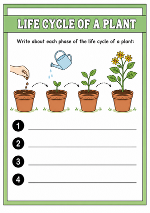 Printable Plant Life Cycle Worksheet | Grade 3 Science