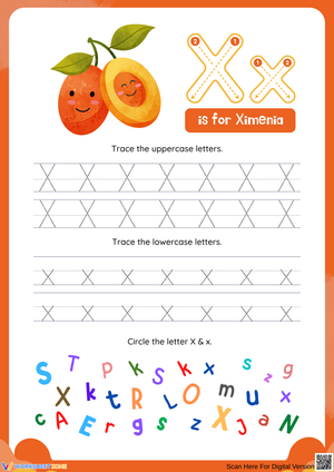 Tracing the Letter X for Early Learners
