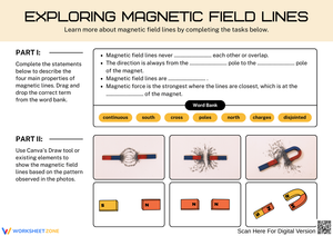 Exploring Magnetic Field Lines With Visual Activities