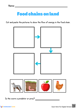 Understanding Food Chains in Nature