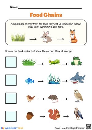 Explore Energy Flow in Nature: Fun Food Chains Worksheet!