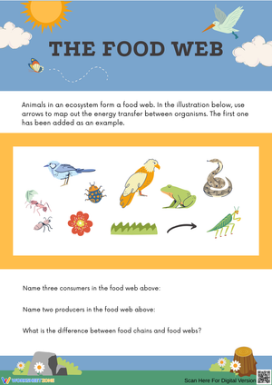 Exploring The Food Web in Ecosystems