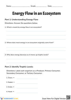 Energy Flow in an Ecosystem Worksheet