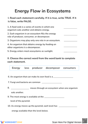 Energy Flow in Ecosystems Worksheet - Food Webs & Energy