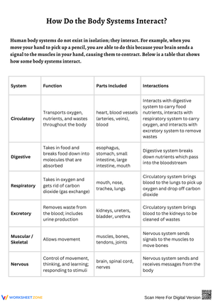Understanding Body System Interactions