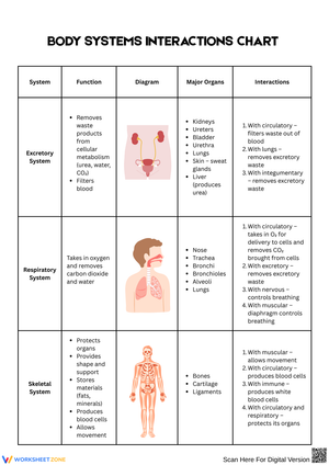 Exploring Body Systems and Their Interactions