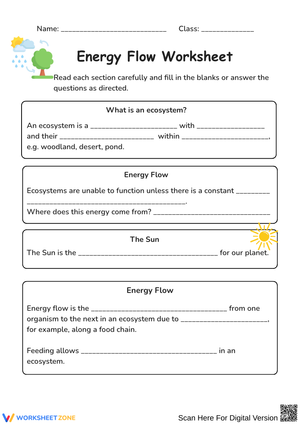 Energy Flow Worksheet: Ecosystems and Food Chains