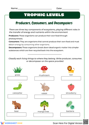 Trophic Levels Worksheet: Producers, Consumers, Decomposers
