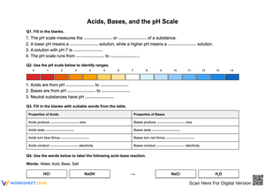 Understanding Acids, Bases, and the pH Scale