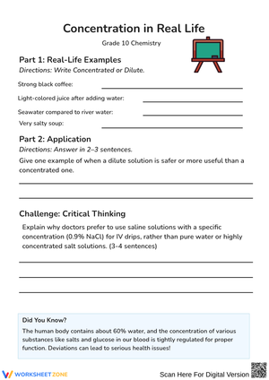 Concentration in Real Life Worksheet