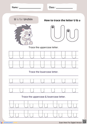 Tracing the Letter U & u for Young Learners