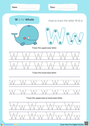 Tracing the Letter W for Whale
