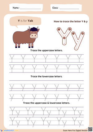 Tracing the Letter Y & y with Fun Visuals