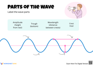 Understanding Waves: Amplitude and Parts of the Wave