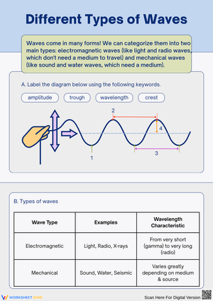 Exploring Different Types of Waves in Science