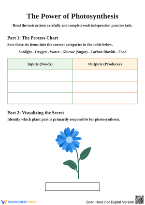 Understanding Photosynthesis Through Fun Activities