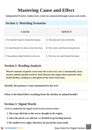 Cause and Effect Analysis