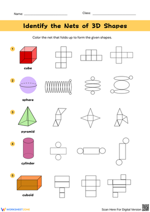Identify the Nets of 3D Shapes