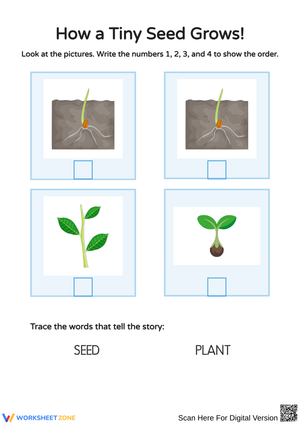 Understanding Plant Growth for Young Learners