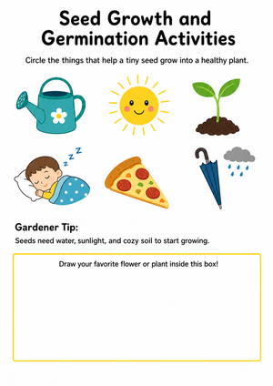 Printable Seed Germination Worksheet | Grade K-2 Science