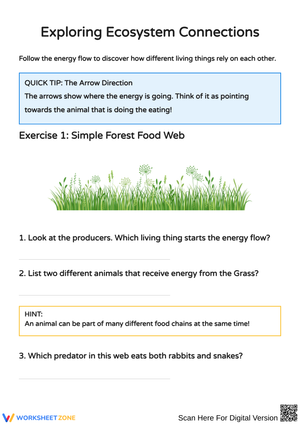 Exploring Ecosystems: Food Webs and Energy Flow