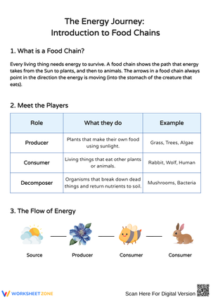 Understanding Food Chains: Energy Flow in Nature