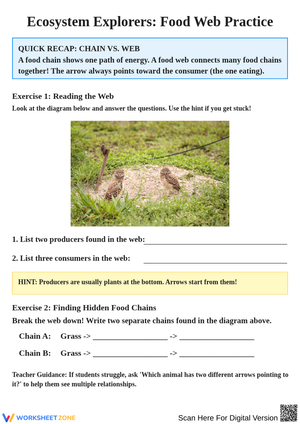 Ecosystem Explorers: Understanding Food Webs