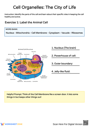 Exploring Cell Organelles: Understanding Their Roles