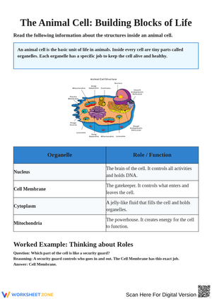 Understanding Animal Cells: Functions and Structures