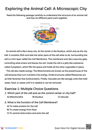 Exploring the Structure and Functions of Animal Cells