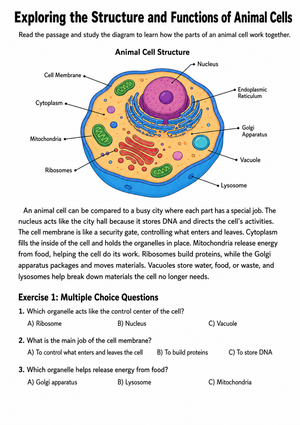 Essential Animal Cell Worksheet | Grades 5-7 Science