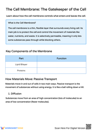 Understanding Cell Membranes: Functions and Transport